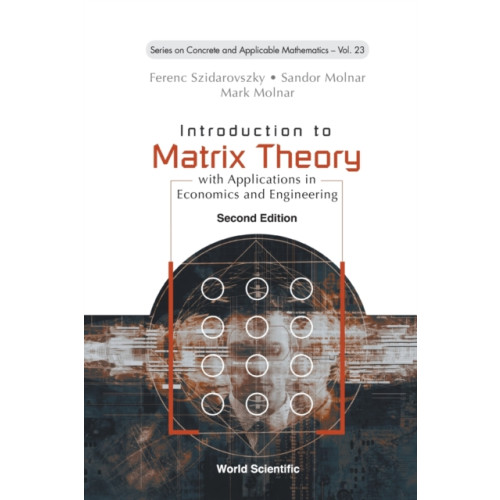 World Scientific Publishing Co Pte Ltd Introduction To Matrix Theory: With Applications In Economics And Engineering (häftad, eng)