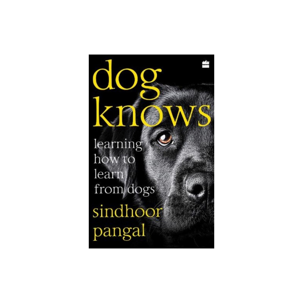 Produktbild för Dog Knows (häftad, eng)