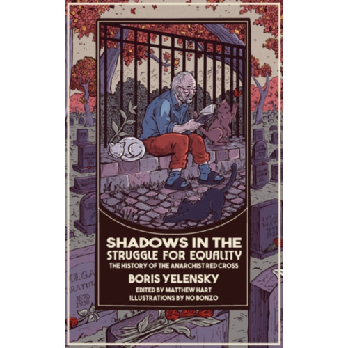 PM Press Shadows in the Struggle for Equality (häftad, eng)