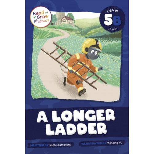 North Star Editions A Longer Ladder (inbunden, eng)
