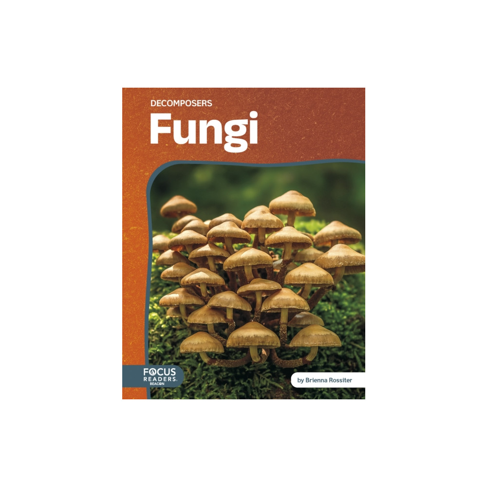 Produktbild för Fungi (inbunden, eng)