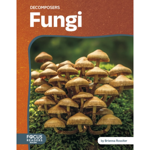 North Star Editions Fungi (inbunden, eng)