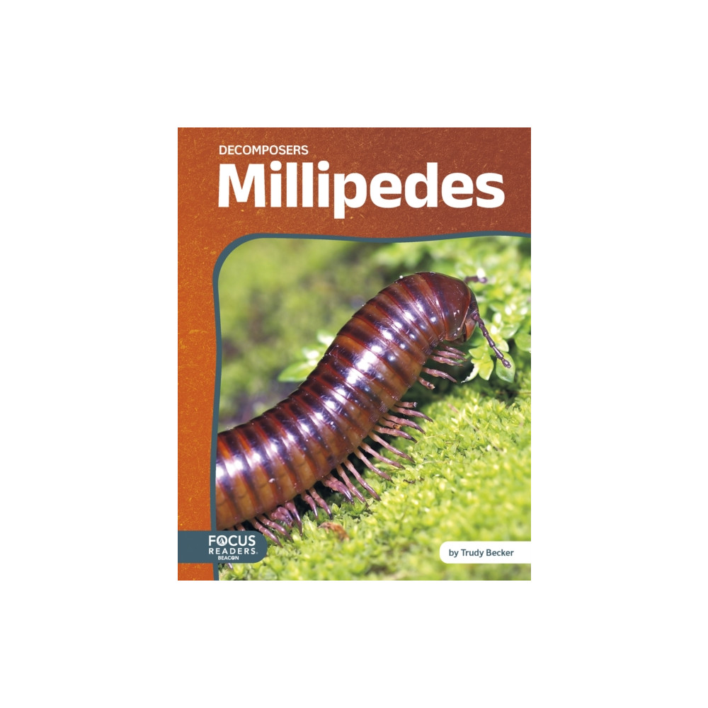 Produktbild för Millipedes (inbunden, eng)