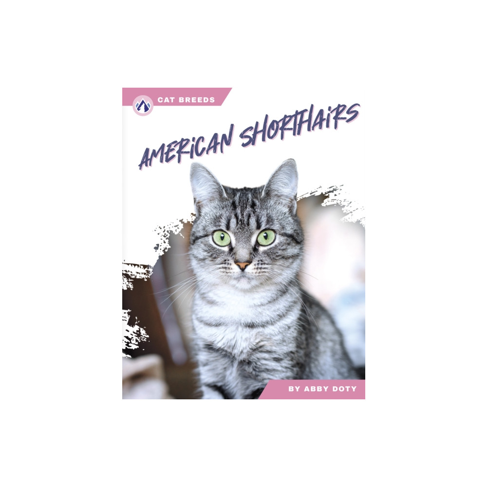 Produktbild för American Shorthairs (häftad, eng)