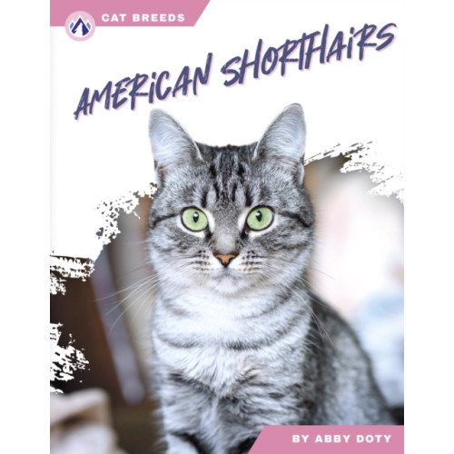 North Star Editions American Shorthairs (häftad, eng)