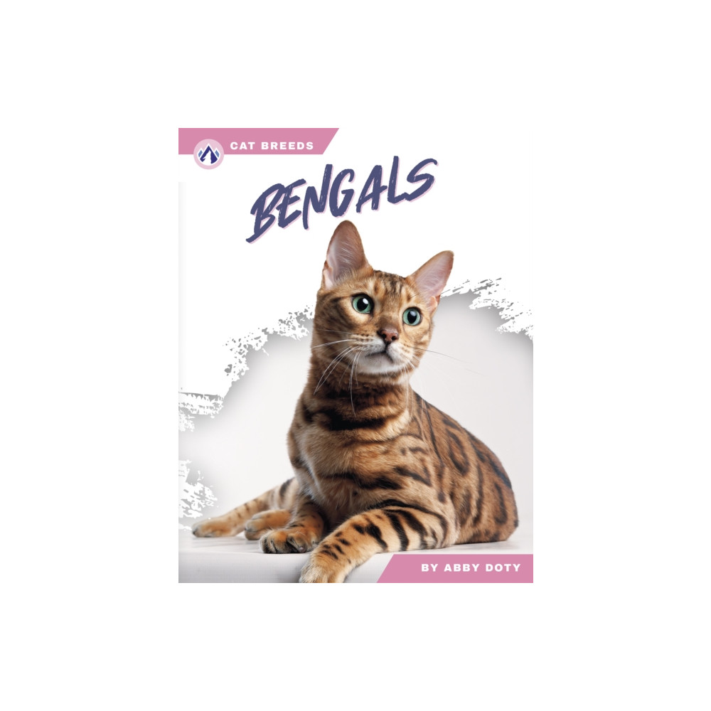 Produktbild för Bengals (häftad, eng)