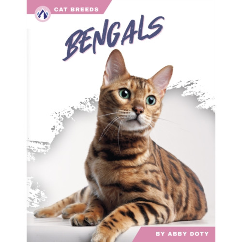 North Star Editions Bengals (häftad, eng)