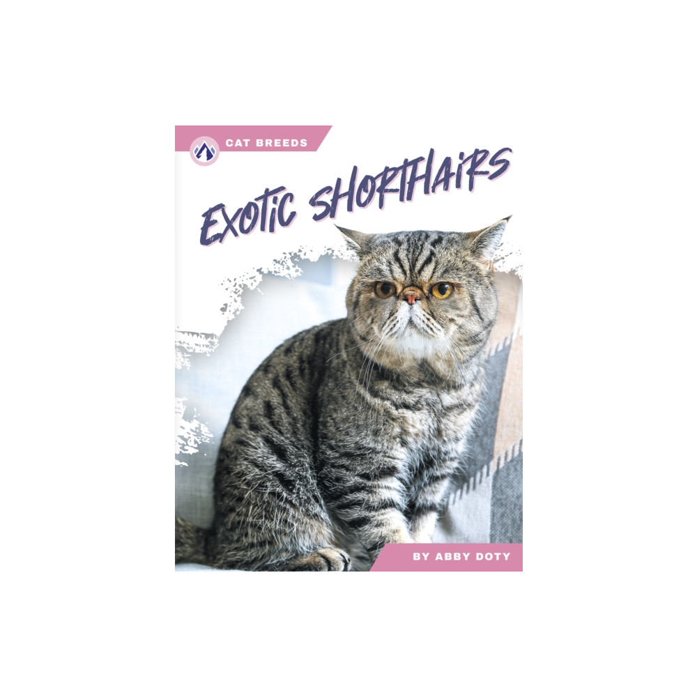 Produktbild för Exotic Shorthairs (häftad, eng)