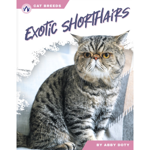 North Star Editions Exotic Shorthairs (häftad, eng)