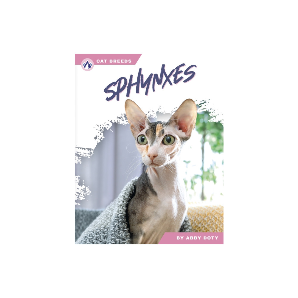 Produktbild för Sphynxes (häftad, eng)