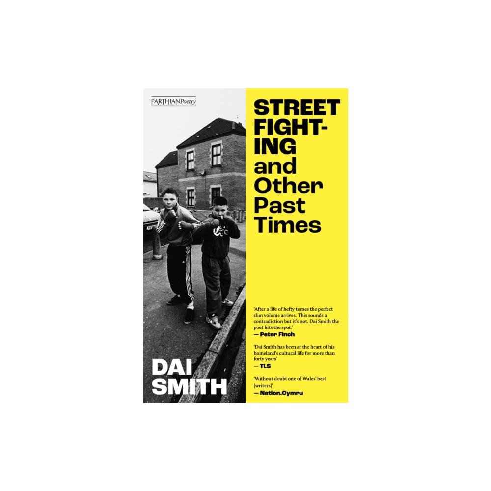 Produktbild för Street Fighting and Other Past Times (häftad, eng)