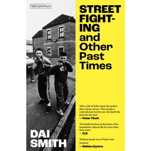 Parthian Books Street Fighting and Other Past Times (häftad, eng)