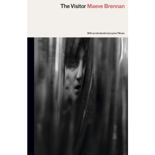 Peninsula Press Ltd The Visitor (häftad, eng)