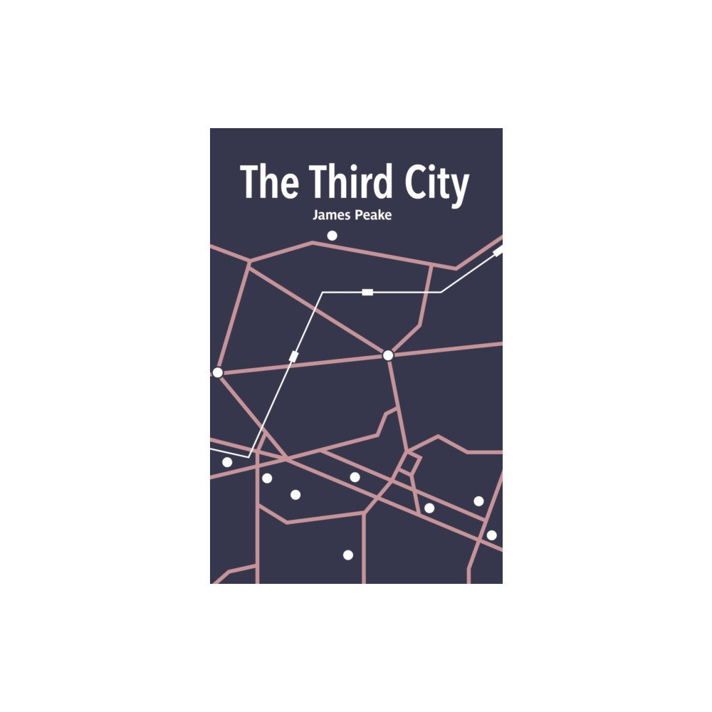 Produktbild för The Third City (häftad, eng)