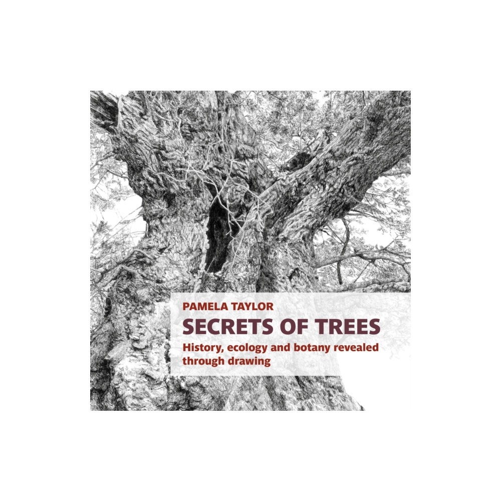 Produktbild för Secrets of Trees (häftad, eng)