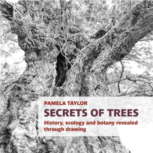 Two Rivers Press Secrets of Trees (häftad, eng)