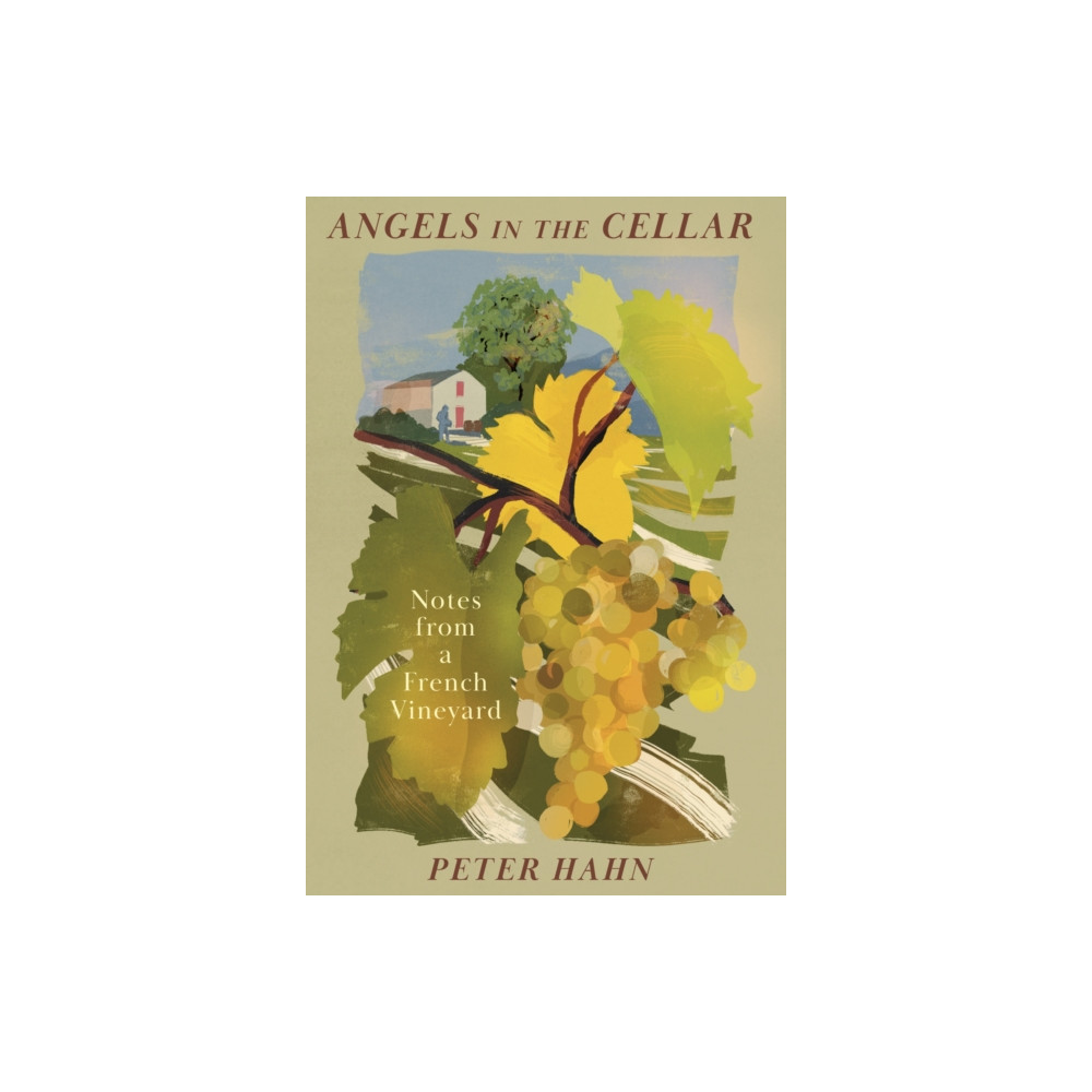 Produktbild för Angels in the Cellar (inbunden, eng)