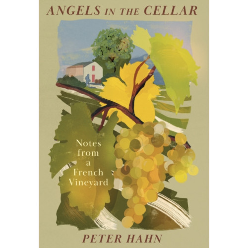 Little Toller Books Angels in the Cellar (inbunden, eng)
