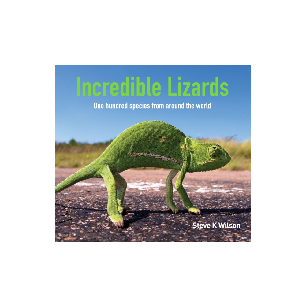 Produktbild för Incredible Lizards (inbunden, eng)