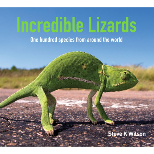 New Holland Publishers Incredible Lizards (inbunden, eng)