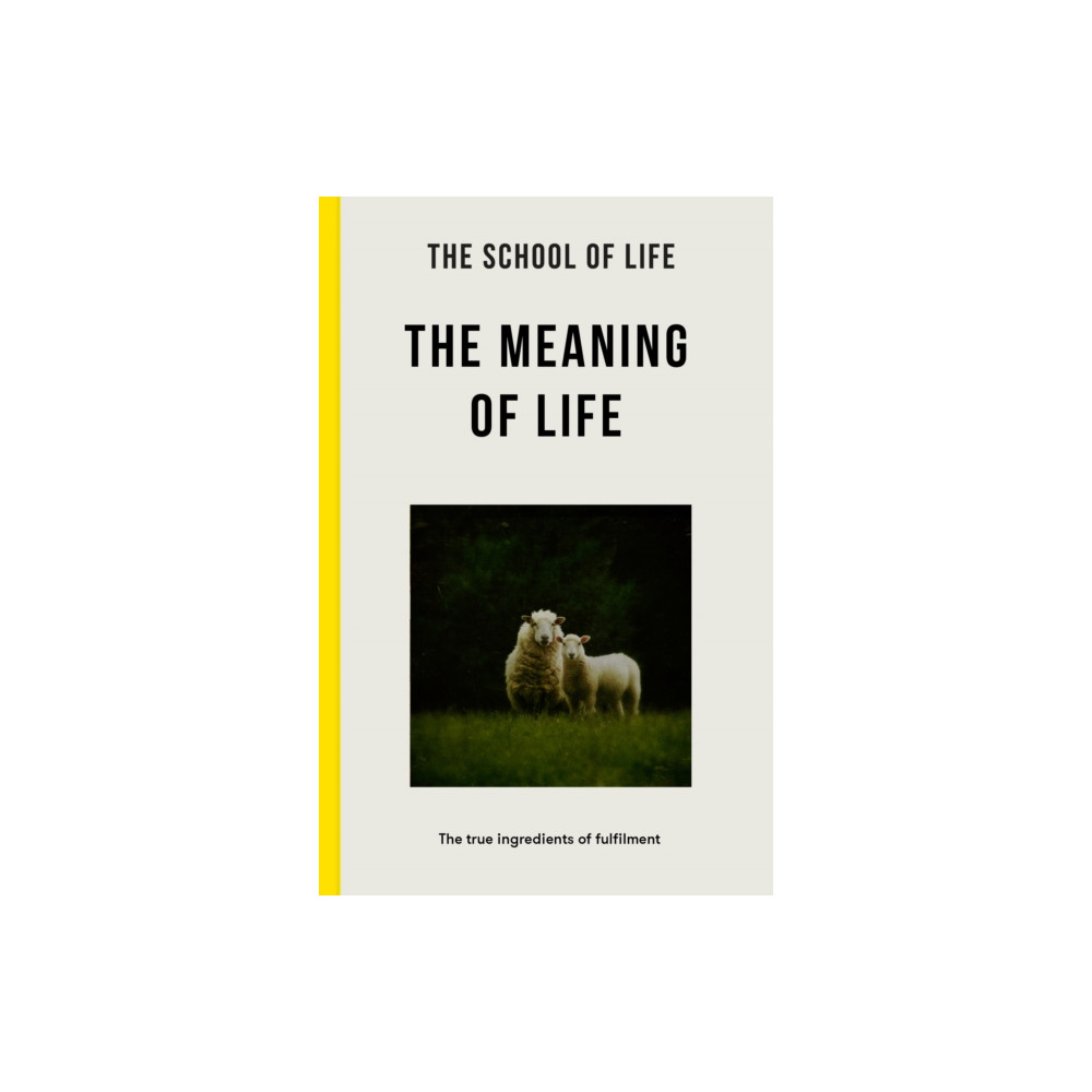 Produktbild för The Meaning of Life (häftad, eng)