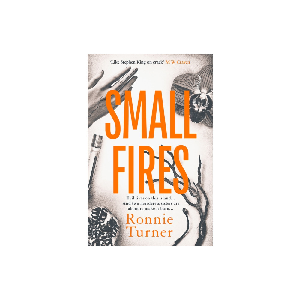 Produktbild för Small Fires (häftad, eng)
