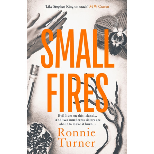 Orenda Books Small Fires (häftad, eng)