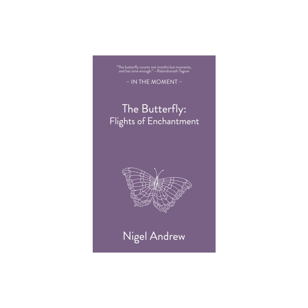 Produktbild för The Butterfly (häftad, eng)