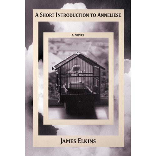 Unnamed Press A Short Introduction to Anneliese (inbunden, eng)