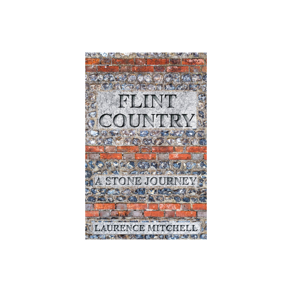 Produktbild för Flint Country (häftad, eng)