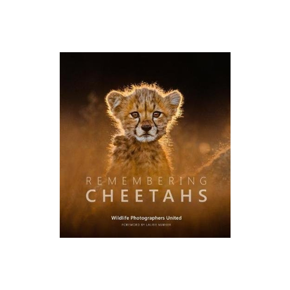 Produktbild för Remembering Cheetahs (inbunden, eng)