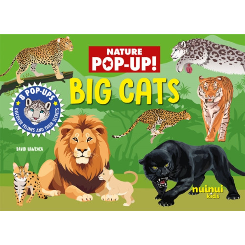 nuinui Big Cats (inbunden, eng)