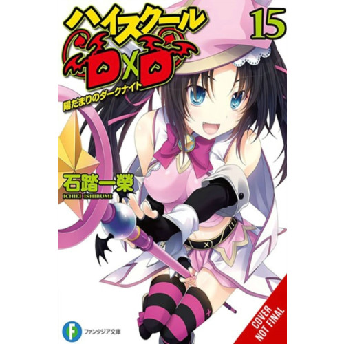Little, Brown & Company High School DxD, Vol. 15 (light novel) (häftad, eng)