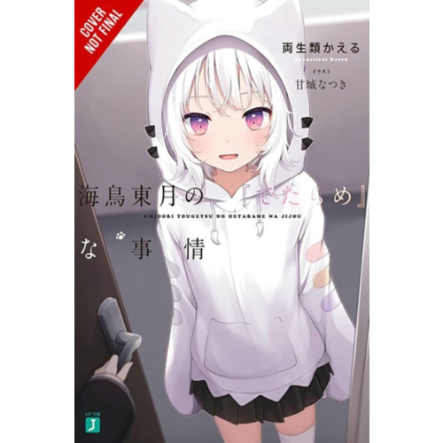 Little, Brown & Company The BS Situation of Tougetsu Umidori, Vol. 1 (light novel) (häftad, eng)