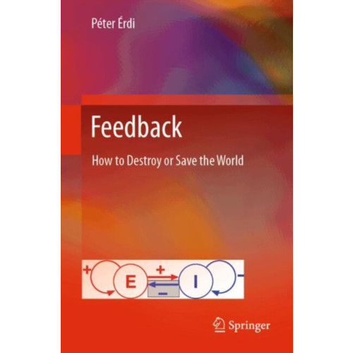 Springer International Publishing AG Feedback (häftad, eng)
