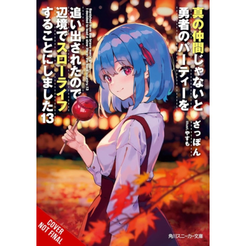 Little, Brown & Company Banished from the Hero's Party, I Decided to Live a Quiet Life in the Countryside, Vol. 13 (light novel) (häftad, eng)
