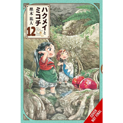 Little, Brown & Company Hakumei & Mikochi: Tiny Little Life in the Woods, Vol. 12 (häftad, eng)