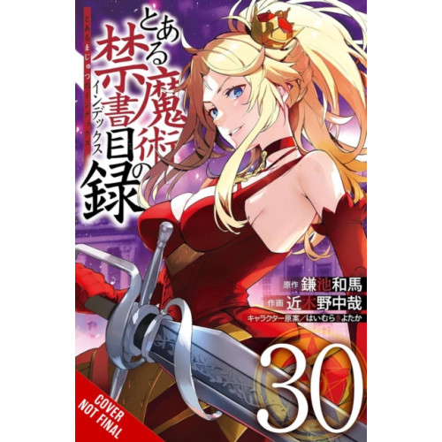 Little, Brown & Company A Certain Magical Index, Vol. 30 (manga) (häftad, eng)