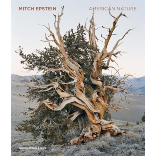 Skira Mitch Epstein (inbunden, eng)