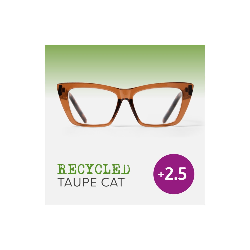 Produktbild för Easy Readers - Recycled Taupe Cat (2.5)