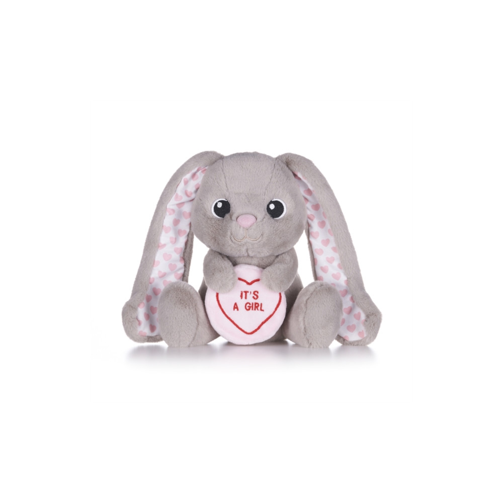 Produktbild för Love Hearts 7" Baby Girl Bunny Plush Gift