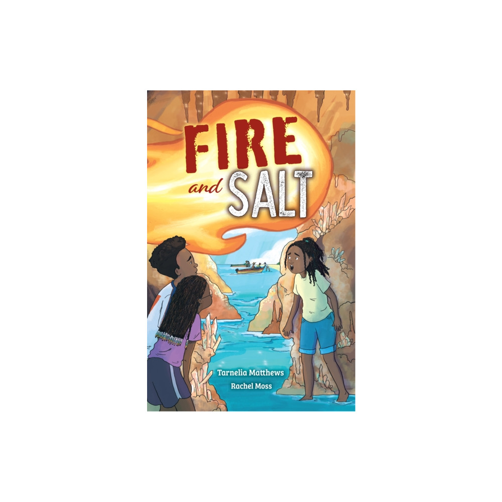 Produktbild för Fire and Salt (häftad, eng)