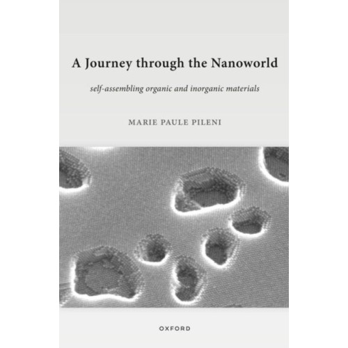 Oxford University Press A Journey through the Nanoworld (häftad, eng)