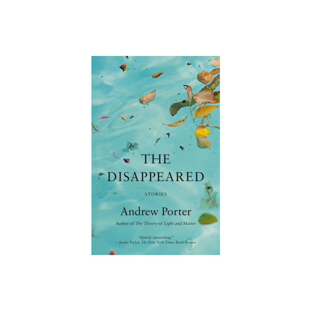 Produktbild för The Disappeared (häftad, eng)
