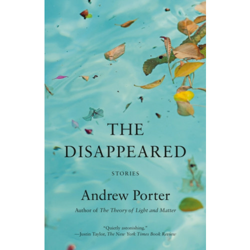 Random House USA Inc The Disappeared (häftad, eng)