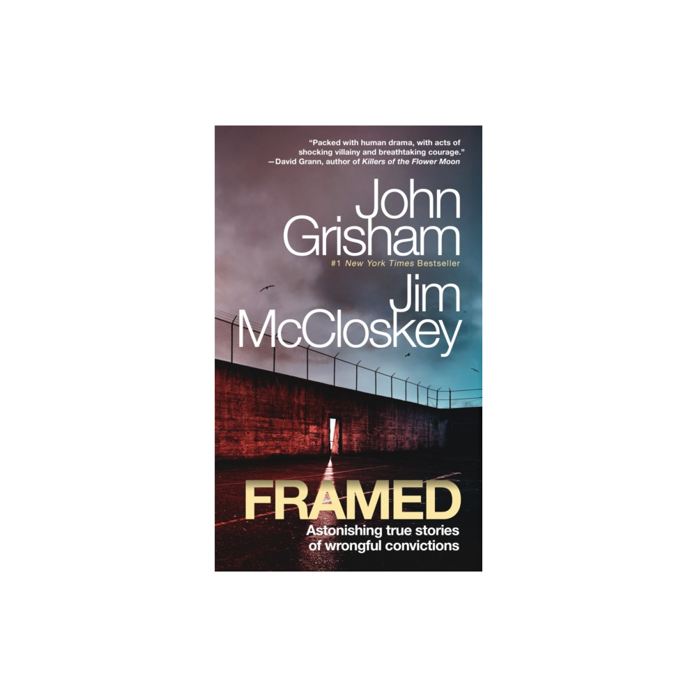 Produktbild för Framed (häftad, eng)
