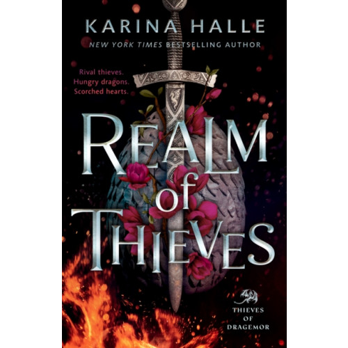 Penguin Putnam Inc Realm of Thieves (häftad, eng)