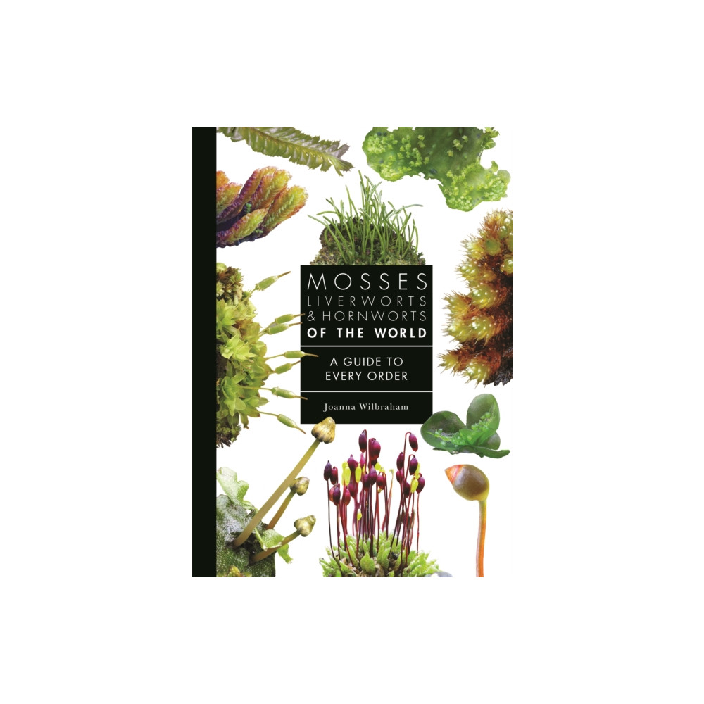 Produktbild för Mosses, Liverworts, and Hornworts of the World (inbunden, eng)