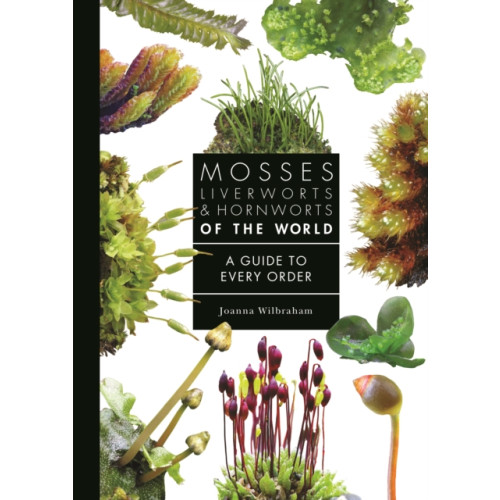 Princeton University Press Mosses, Liverworts, and Hornworts of the World (inbunden, eng)