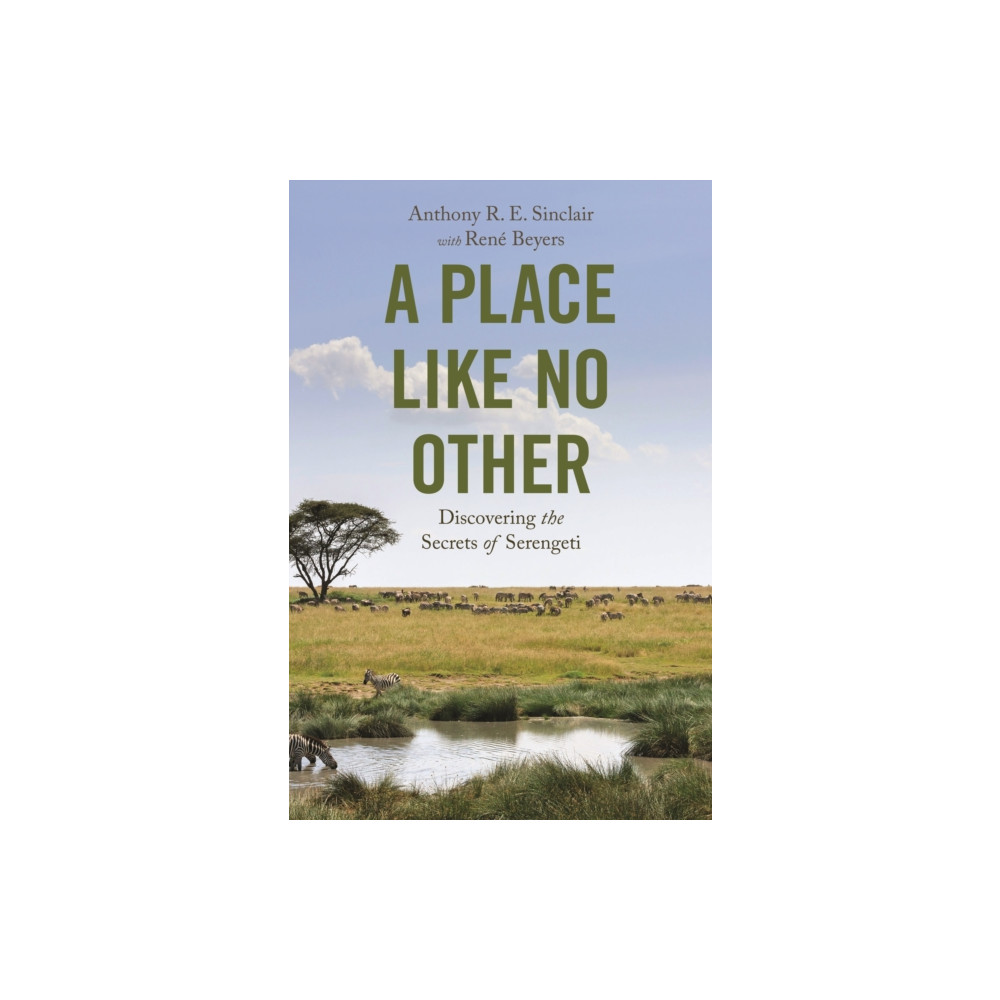 Produktbild för A Place like No Other (häftad, eng)